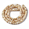 Natural Trochid Shell/Trochus Shell Beads Strands SSHEL-S266-016B-02-2