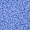 11/0 Grade A Baking Paint Glass Seed Beads X-SEED-N001-A-1022-2