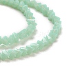 Glass Beads Strands GLAA-L031-01-C14-2