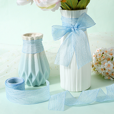 Polyester Pleated Ribbons SRIB-WH20020-005C-1
