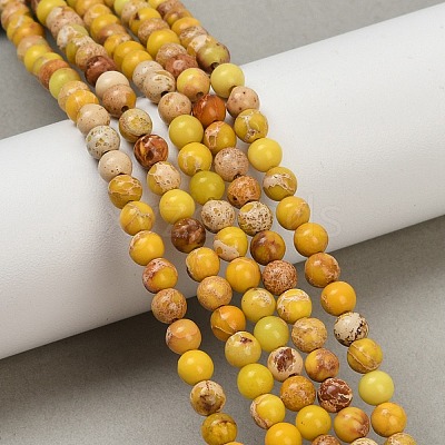 Dyed Natural Regalite/Imperial Jasper/Sea Sediment Jasper Beads Strands G-B124-C04-04-1