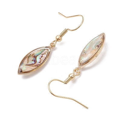 Natural Paua Shell Dangle Earrings EJEW-JE06274-03-1