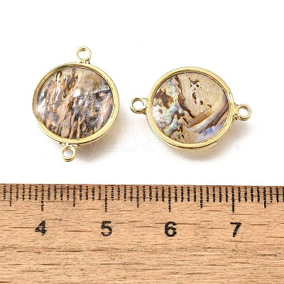Brass Pave Natural Paua Shell Connector Charms KK-E794-01G-02-1