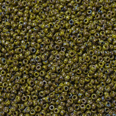 MIYUKI Round Rocailles Beads X-SEED-G010-RR4519-1