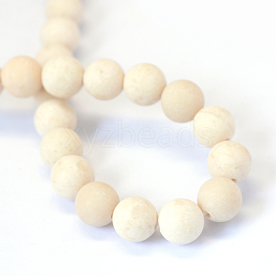 Frosted Natural Fossil Round Bead Strands G-E334-10mm-22-1