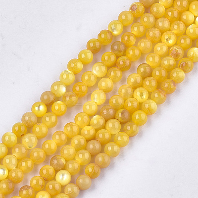 Yellow Shell Beads Strands SHEL-T012-50C-1