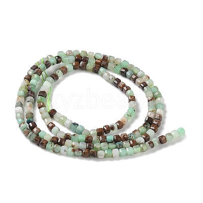 Natural Chrysoprase Beads Strands X-G-P514-B03-01-1