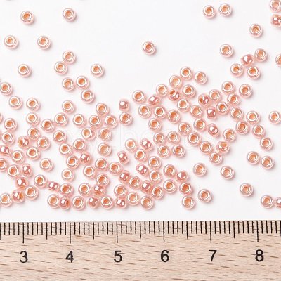 MIYUKI Round Rocailles Beads X-SEED-G008-RR0539-1