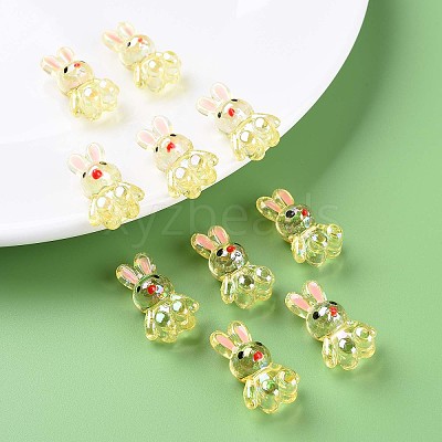 Transparent Acrylic Beads LS-MACR-S373-81-Q02-1