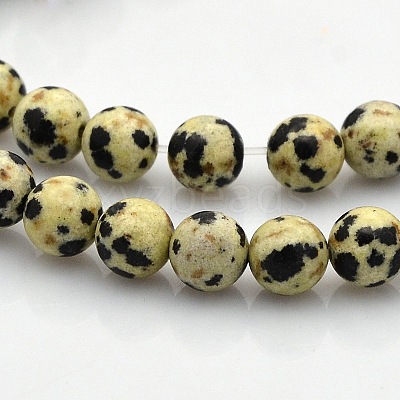 Round Natural Dalmatian Jasper Beads Strands G-N0120-23-6mm-1