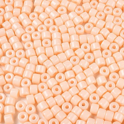 Opaque Baking Paint Glass Seed Beads X-SEED-T008-02C-1