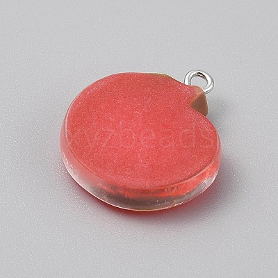 Opaque Resin Pendants LS-RESI-CJC0029-001B-02-1