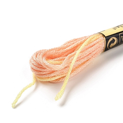 10 Skeins 6-Ply Polyester Embroidery Floss OCOR-K006-A68-1