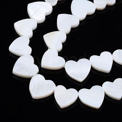 Natural Freshwater Shell Beads Strands SHEL-N027-21-1