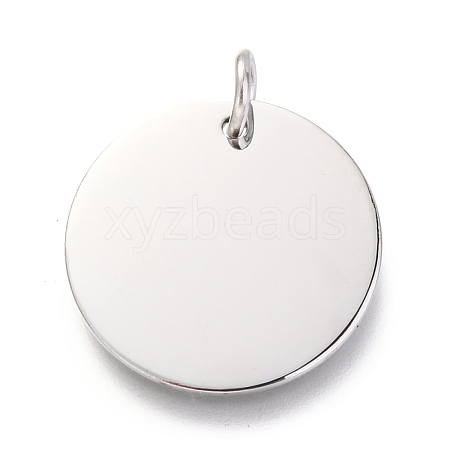 Non-Tarnish 304 Stainless Steel Charms LS-EJEW-L238-03E-P-1