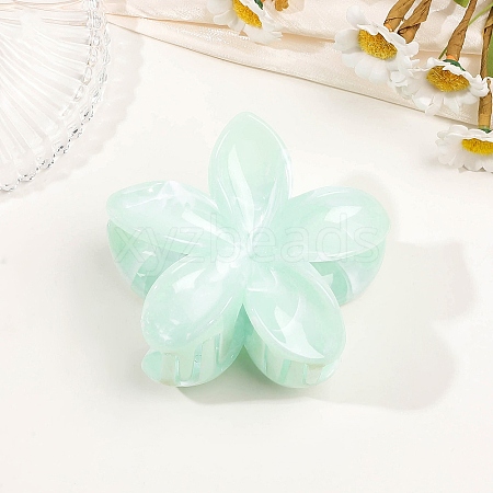 Plastic Claw Hair Clips for Women Girls PW-WGB2E8F-01-1