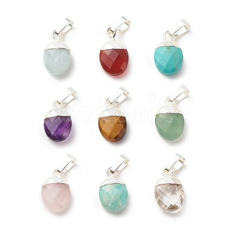 Natural & Synthetic Gemstone Charms G-D478-01S-1