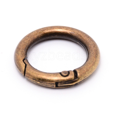Alloy Spring Gate Rings AJEW-WH0129-48A-AB-1