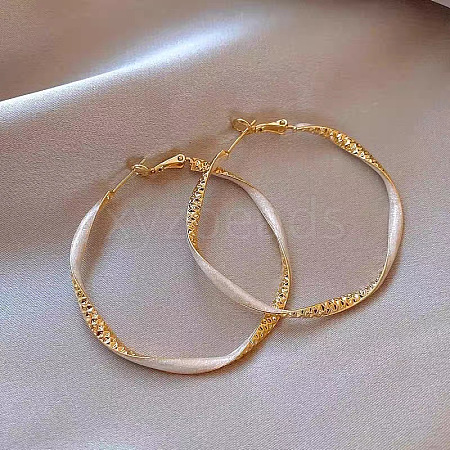 Alloy Enamel Hoop Earrings FS-WG76269-02-1