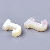 Natural Sea Shell Beads SHEL-T012-60J-2