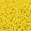 8/0 Opaque Colours Round Glass Seed Beads X-SEED-A010-3mm-42-3