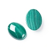 Natural Malachite Cabochons G-E557-03I-1