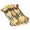 22 Bundles 22 Colors Autumn Themed Polyester Embroidery Floss OCOR-TA0002-80-2