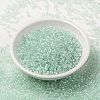 MIYUKI Round Rocailles Beads SEED-G008-RR3642-2