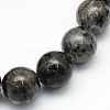 Natural Larvikite Round Beads Strands LS-G-S159-4mm-1