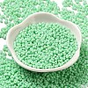 Glass Frosted Seed Beads SEED-K009-05B-05-2