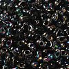 Electroplate Two Tone Glass Seed Beads SEED-F005-09A-01-3