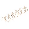 201 Stainless Steel Plant Hangers STAS-N120-02G-3