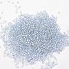 6/0 Transparent Glass Round Seed Beads SEED-J010-F6-32-2