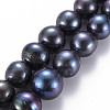 Natural Keshi Pearl Beads Strands PEAR-S020-L06-2