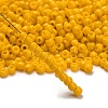 TOHO 6/0 Round Beads SEED-TR06-0042B-2