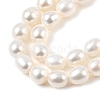 Natural Cultured Freshwater Pearl Beads Strands PEAR-I007-01D-03A-4