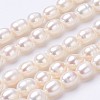 Natural Cultured Freshwater Pearl Beads Strands PEAR-P002-55-01-1