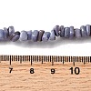 Natural Freshwater Shell Beads SHEL-B003-01G-4