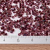 MIYUKI Delica Beads LS-SEED-J020-DB1751-3