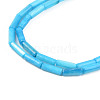 Natural Freshwater Shell Beads Strand SHEL-T017-40F-3