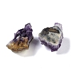 Natural Amethyst Geode Cornucopia Mineral Specimen DJEW-M014-02F-3