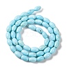 Natural Howlite Beads Strands G-H025-02A-3