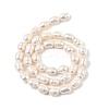 Natural Cultured Freshwater Pearl Beads Strands PEAR-I007-01D-04A-3