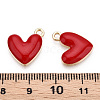 Eco-Friendly Zinc Alloy Pendants FIND-N048-030B-NR-3