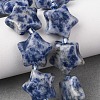 Natural Blue Spot Jasper Beads Strands G-K359-E11-1
