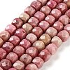 Natural Rhodonite Beads Strands G-H028-A07-01-1