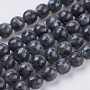 Natural Larvikite Beads Strands X-G-G542-10mm-27-1