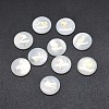 Shell Cabochons SSHEL-E568-B09-2