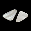 Dyed Natural Shell Pendants SHEL-C010-13B-2