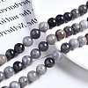 Natural Iolite Beads Strands G-N328-50C-01-4